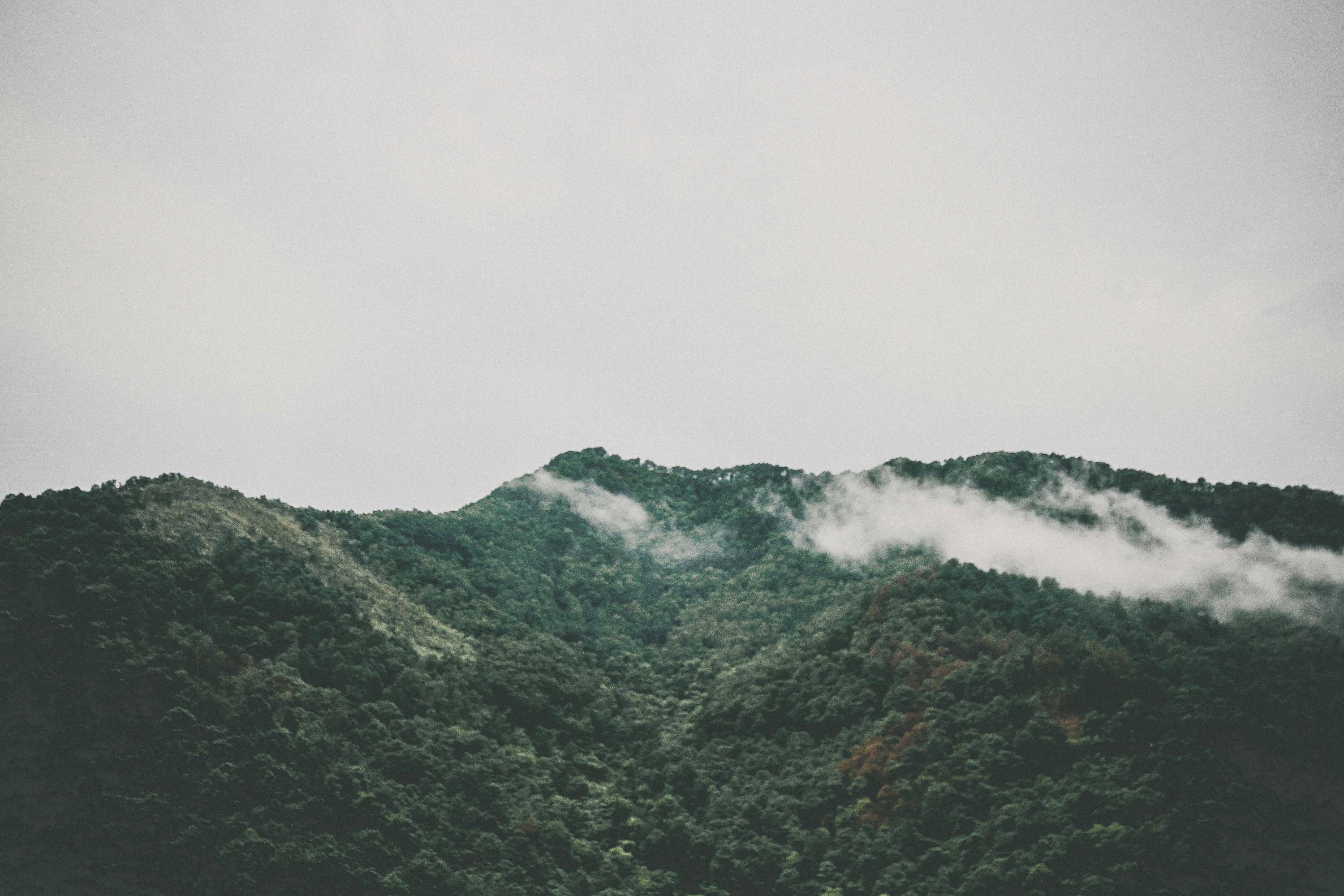 Banner 2