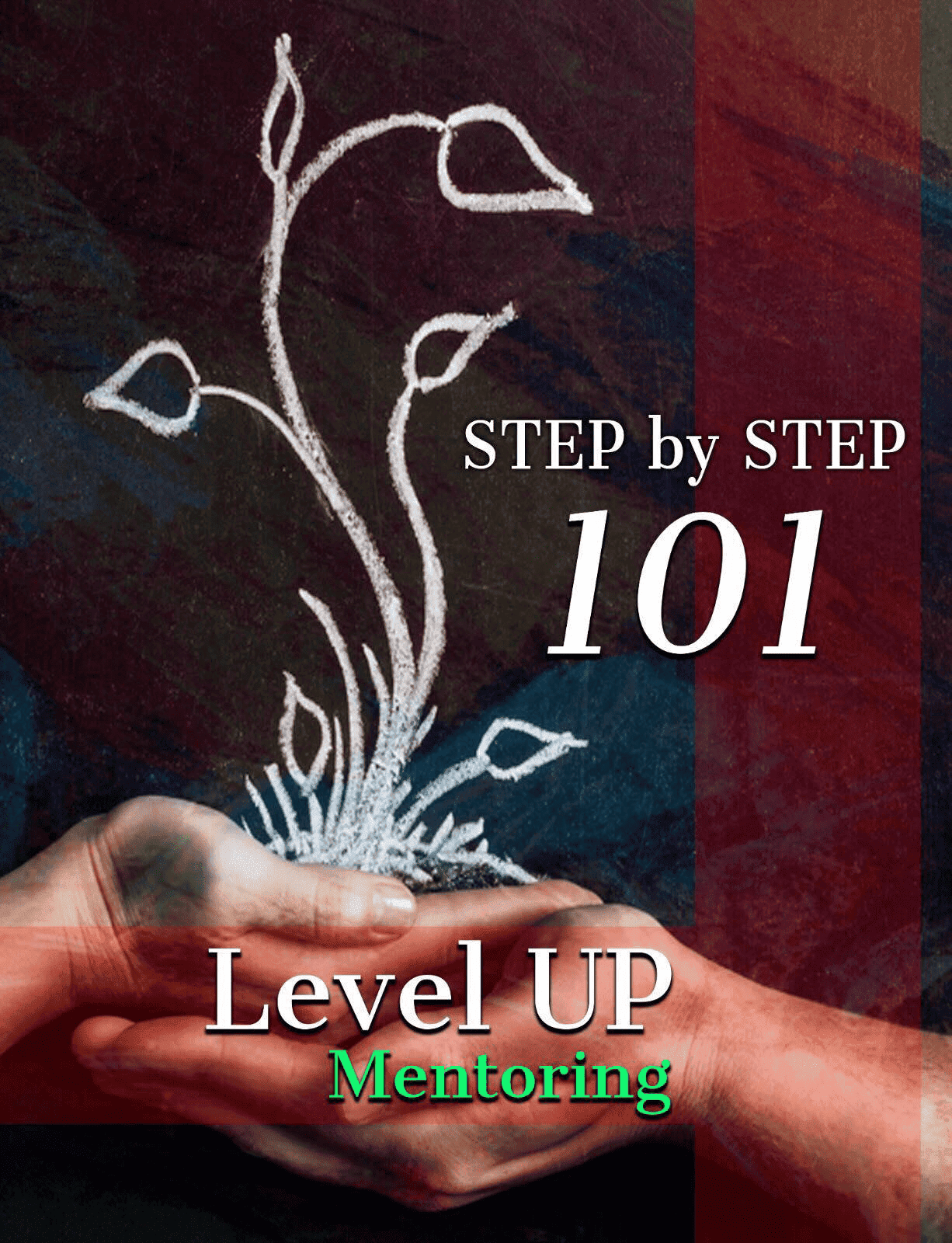 Step by Step 101: Level Up Mentoring