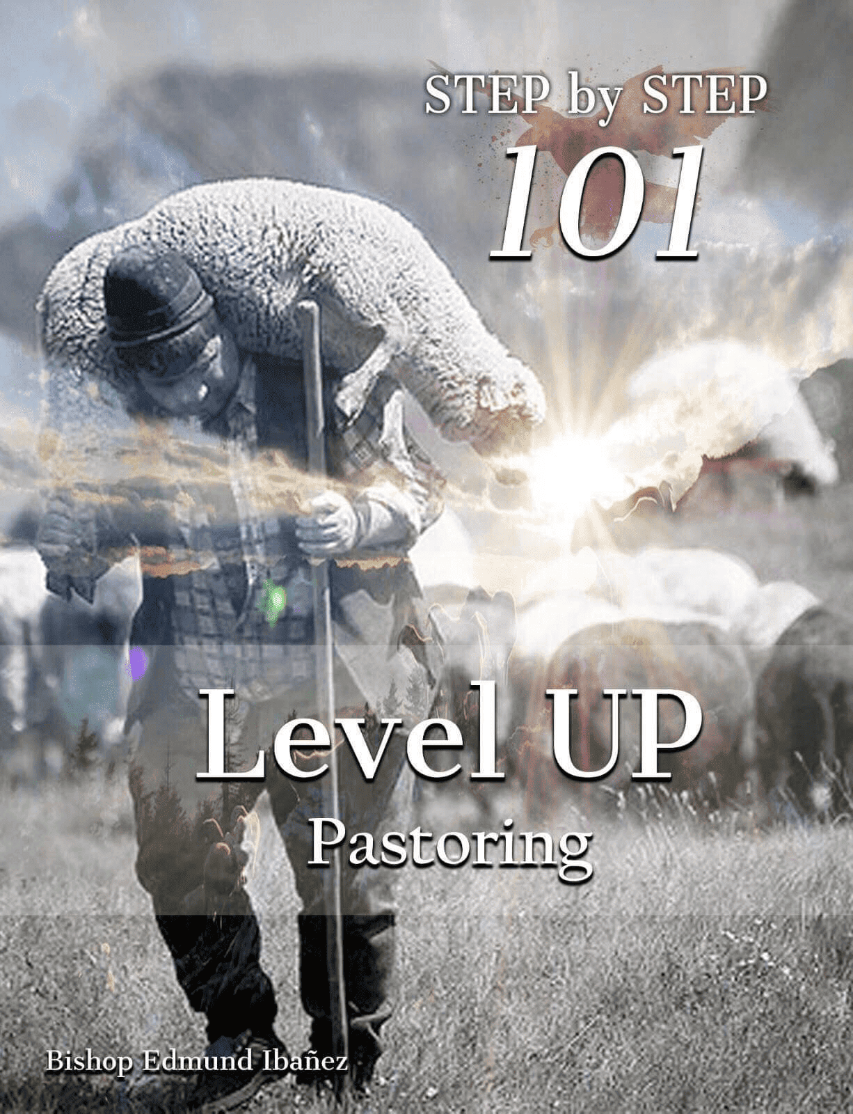 Step by Step 101: Level Up Pastoring